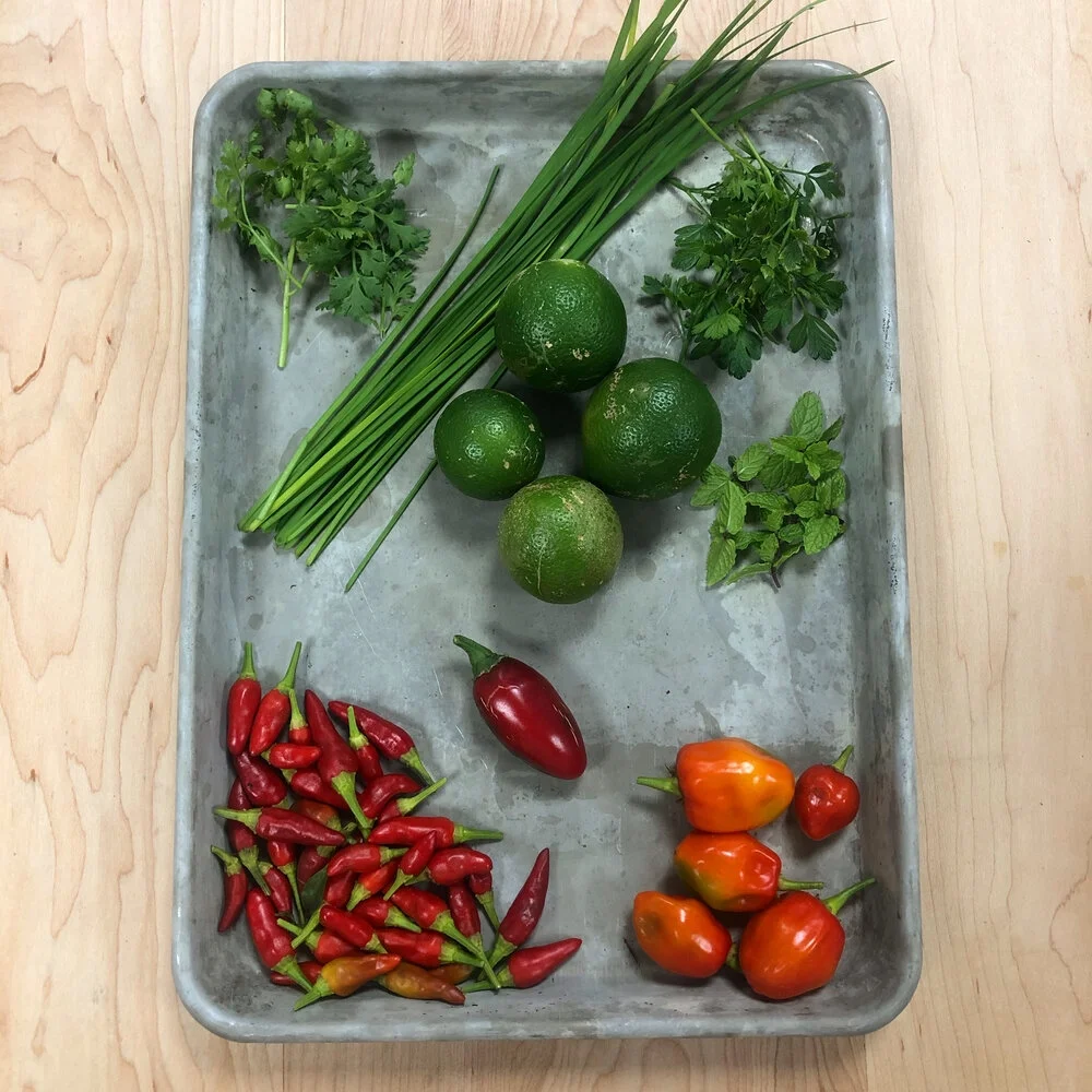 ABOUT US - 1604439B EC97 4326 9E13 CEA1AE760D4D