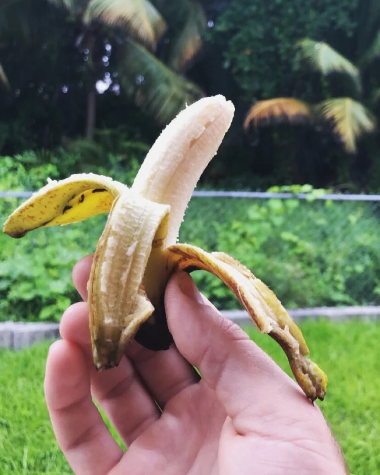 ABOUT US - B2886A8B 953B 46F0 9C73 49A477C5DE72